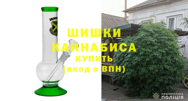 шишки Богородицк