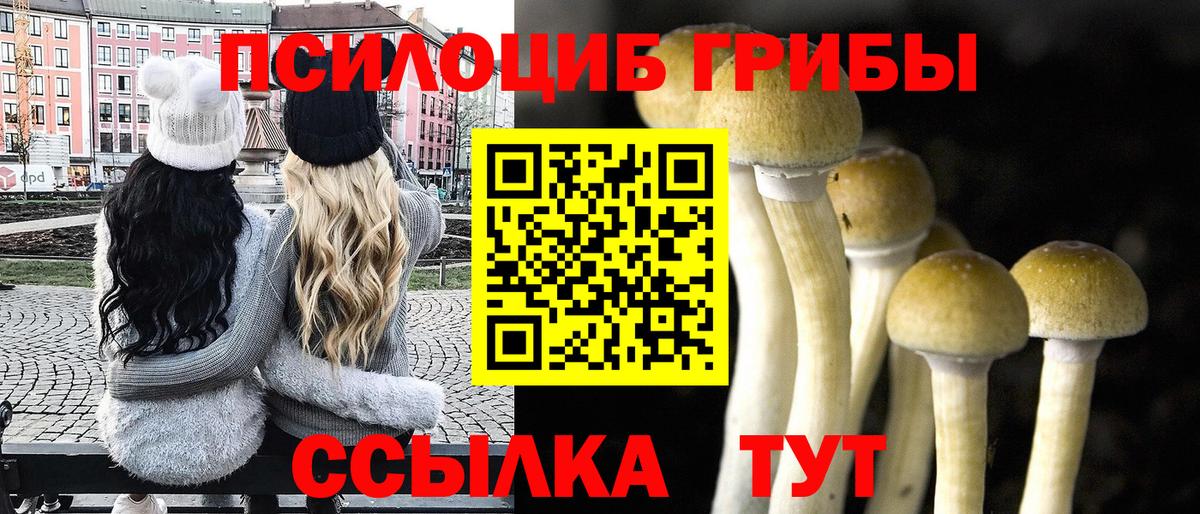Псилоцибиновые грибы ЛСД Советский